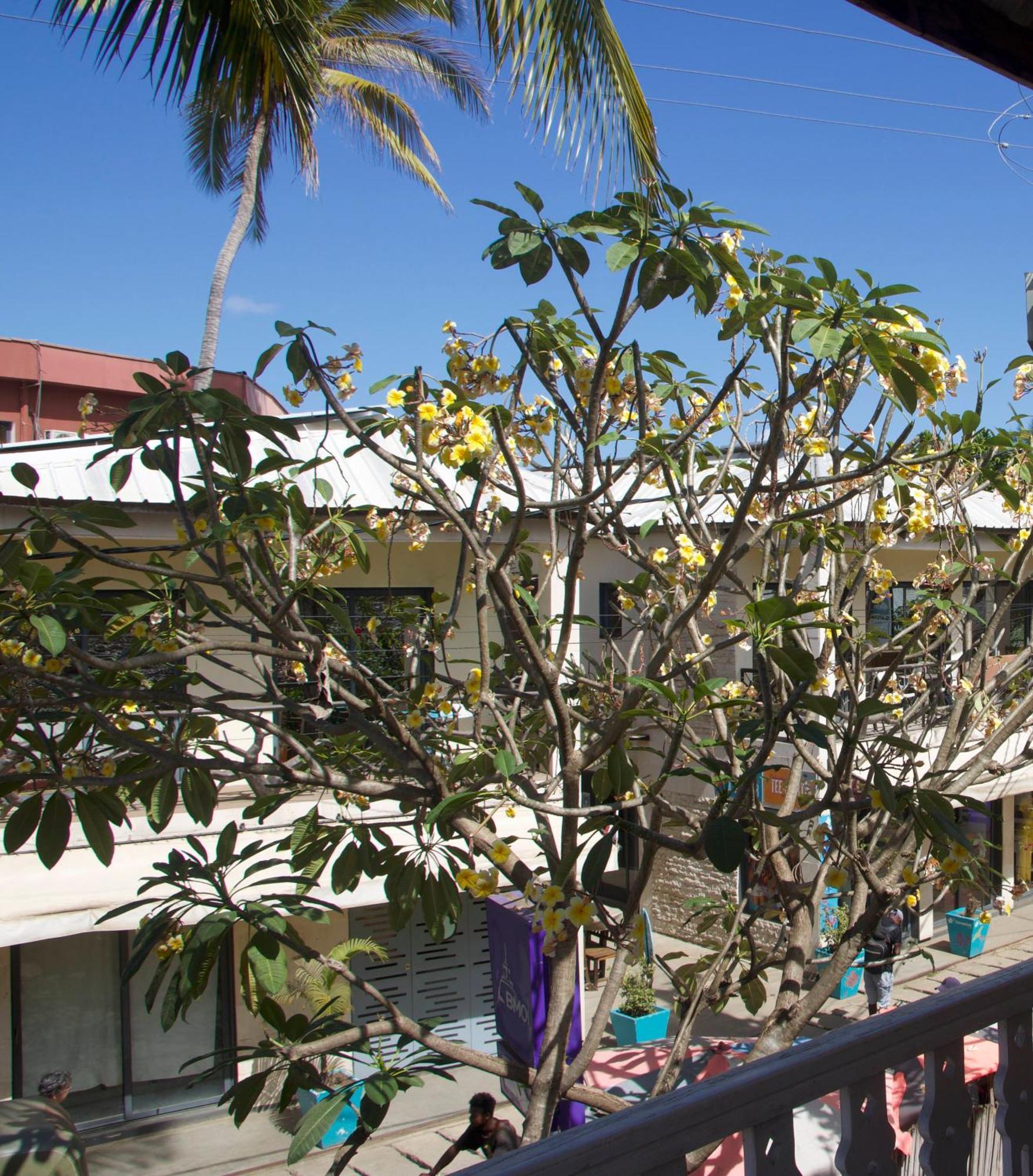 Hotel Residence Sarimanok Ambatoloaka  Exteriör bild